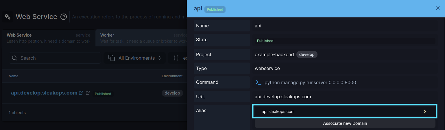 domain-info-execution-drawer